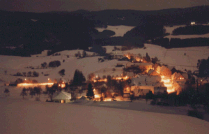 Nesselstauden in einer Winternacht