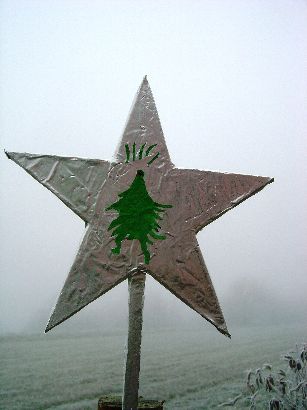 Adventschmuckaktion 2008