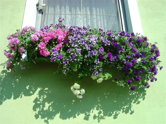 Ortsbilder Jul 2008