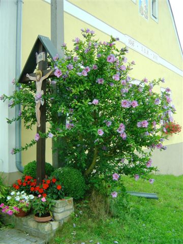 Ortsbilder Jul 2008