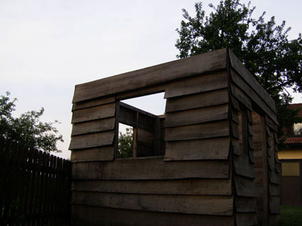 Dohle