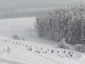 Steinkreis im Schnee 2006