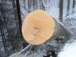 Technischer Einsatz nach überraschender Winterrückkehr in Ma. Langegg, Foto 8