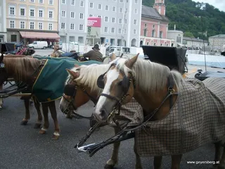 Feuerwehrausflug 2009 nach Salzburg, Foto 9