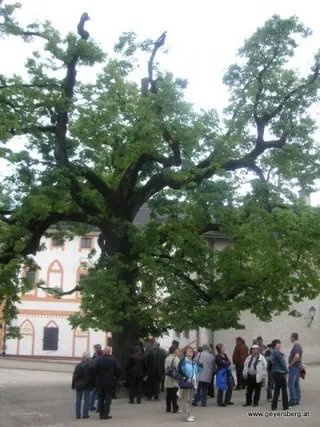 Feuerwehrausflug 2009 nach Salzburg, Foto 45
