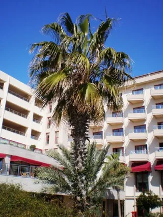 Trainingslager Belek 2009, Foto 120