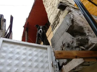 Trainingslager Belek 2009, Foto 187